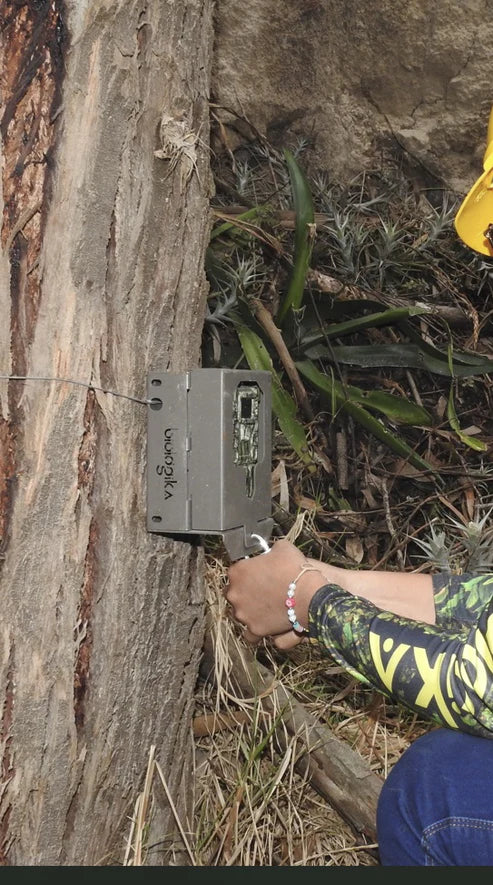Bushnell Camera Trap Security Box