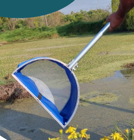 D-TYPE AQUATIC NET